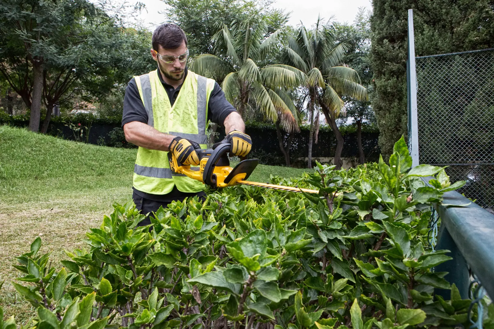 DEWALT® 18V XR® 55cm Hedge Trimmer (19mm Blade Gap) - Tool Only