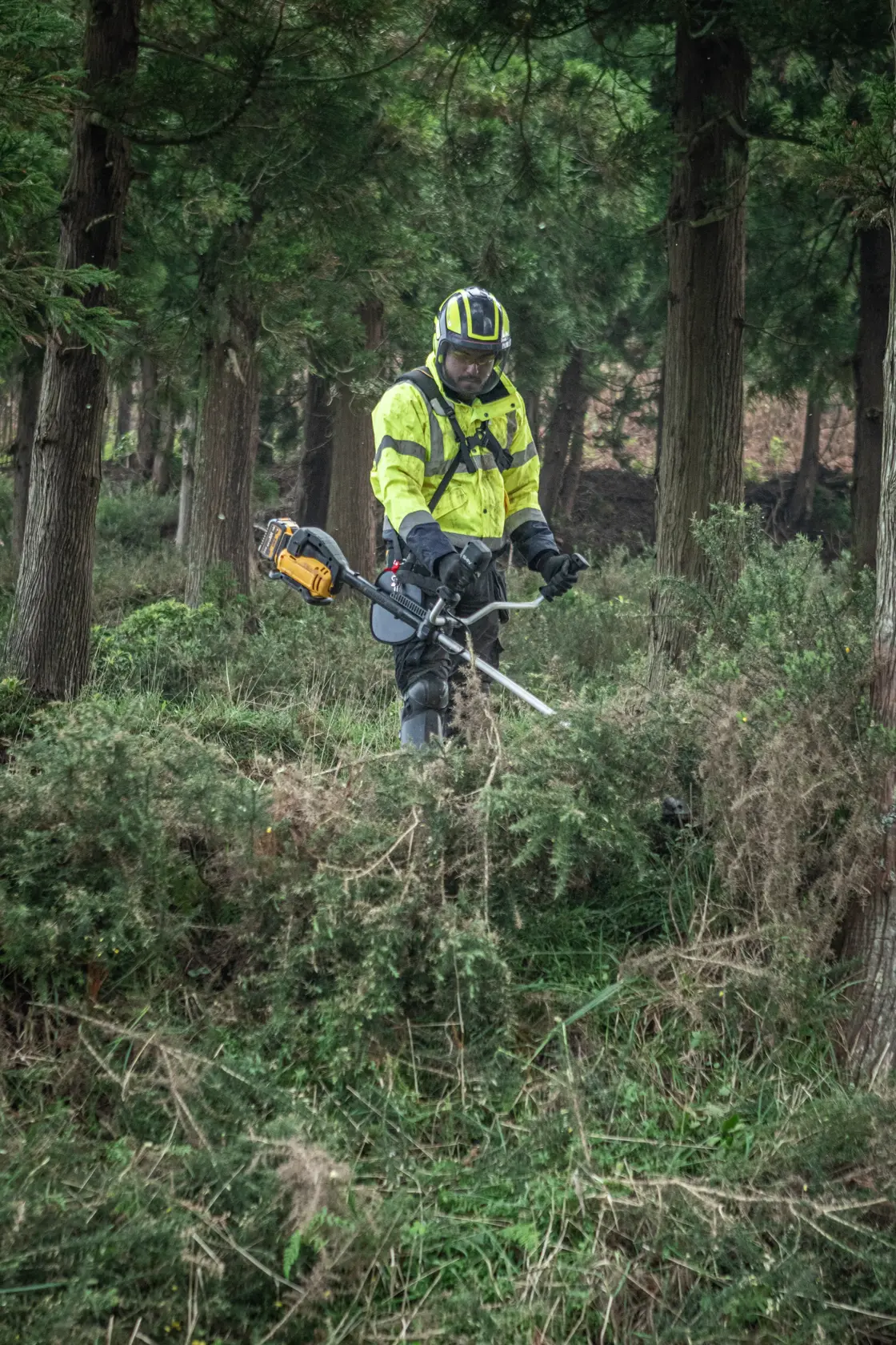 DEWALT® 54V Brushless 25cm Brush Cutter With Bike-Handle (Tool Only)
