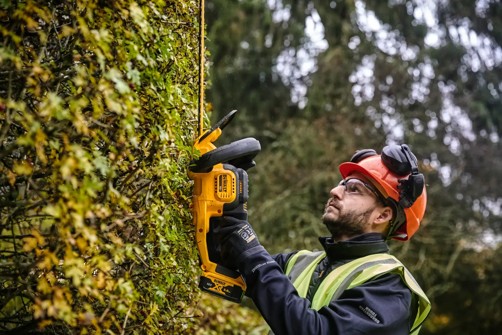 DEWALT® 18V XR® 55cm Hedge Trimmer (25mm Blade Gap) - Tool Only