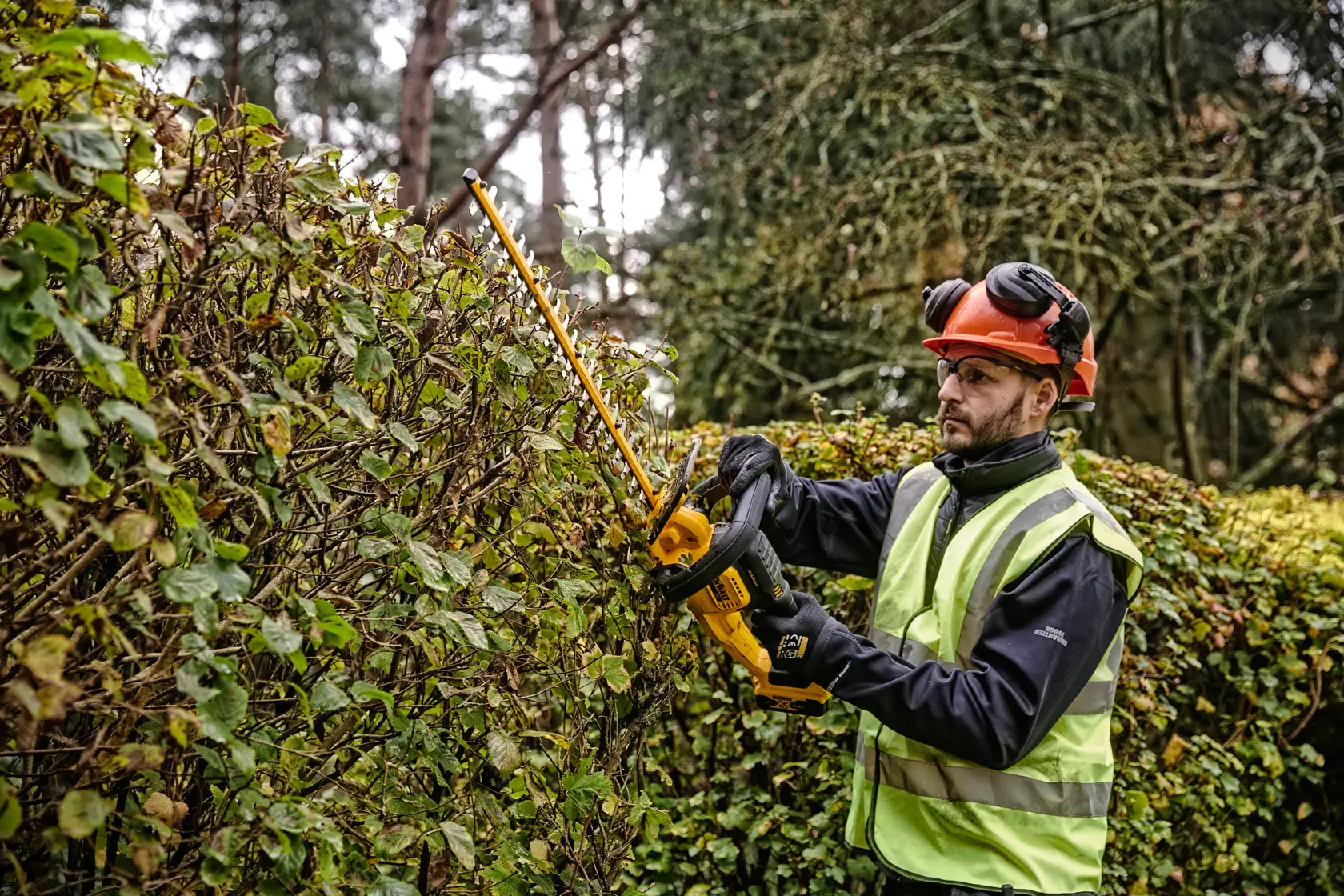 DEWALT® 18V XR® 55cm Hedge Trimmer (25mm Blade Gap) - Tool Only