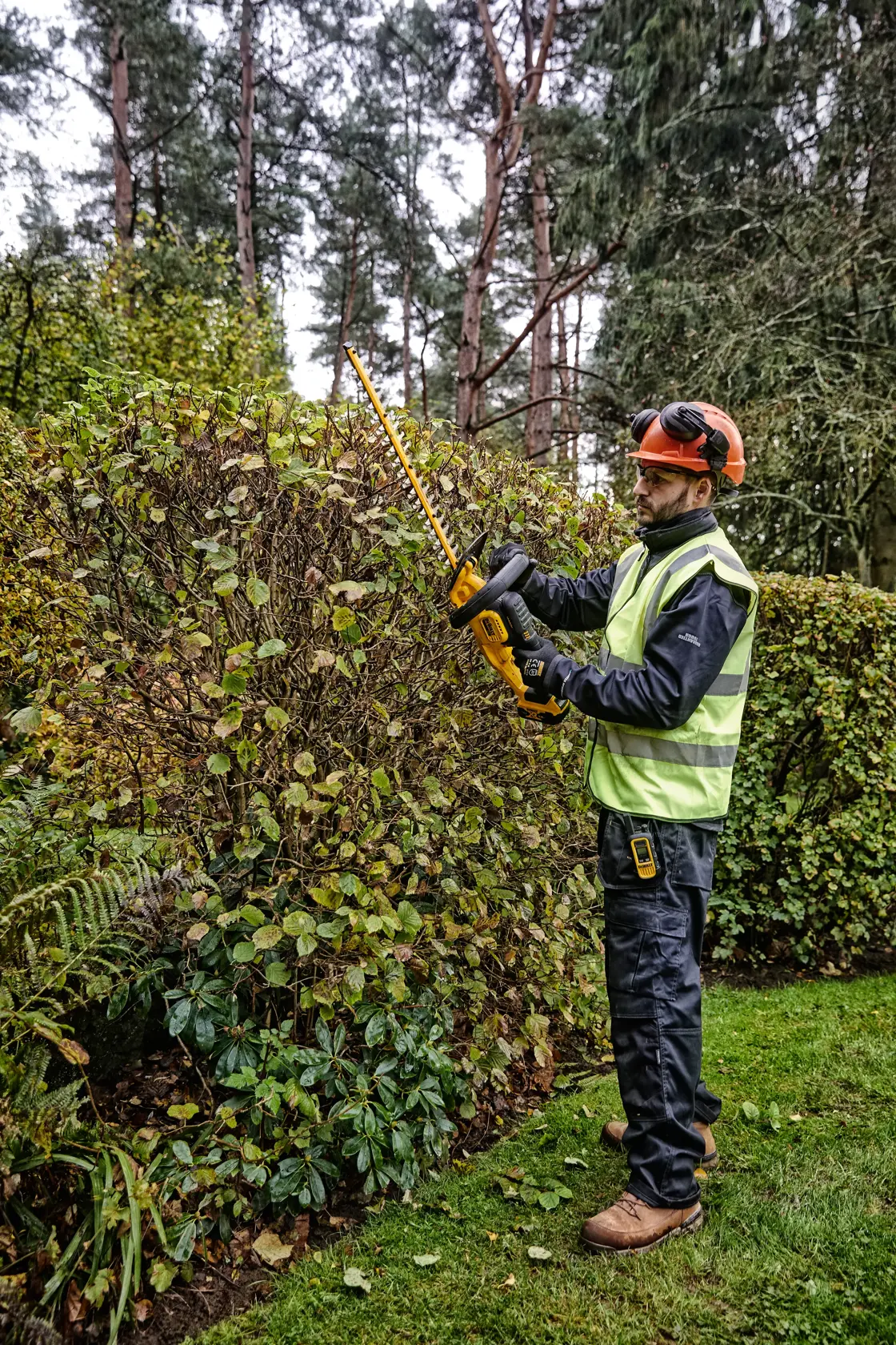 DEWALT® 18V XR® 55cm Hedge Trimmer (25mm Blade Gap) - Tool Only