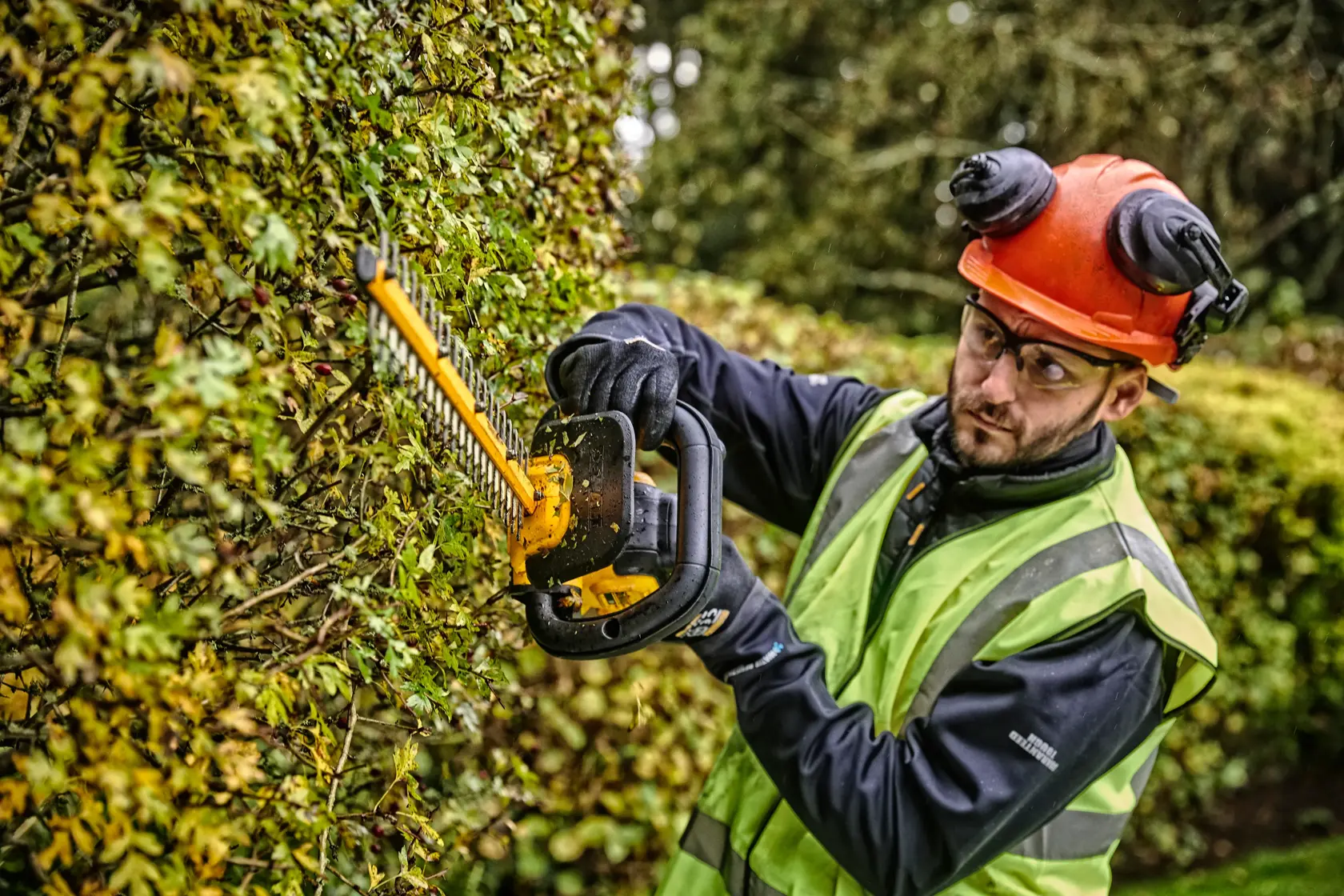DEWALT® 18V XR® 55cm Hedge Trimmer (25mm Blade Gap) - Tool Only