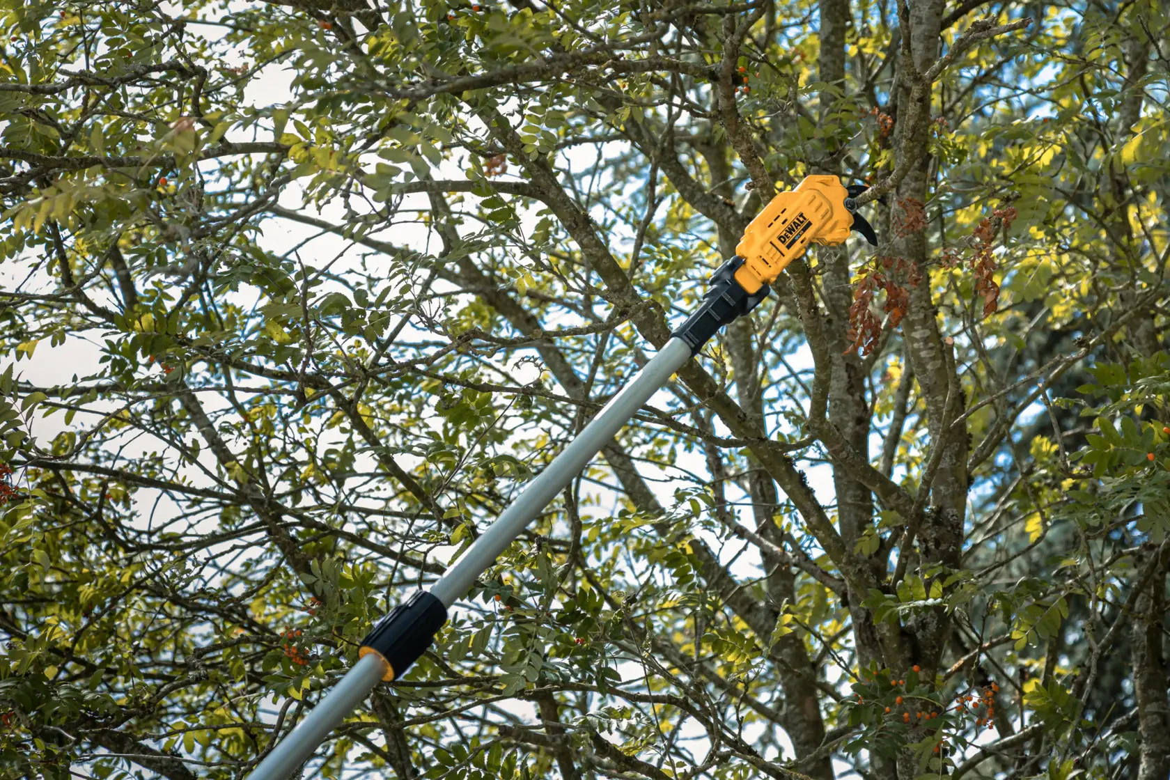 DEWALT® 18V XR® Pole Pruner - 1 x 5Ah